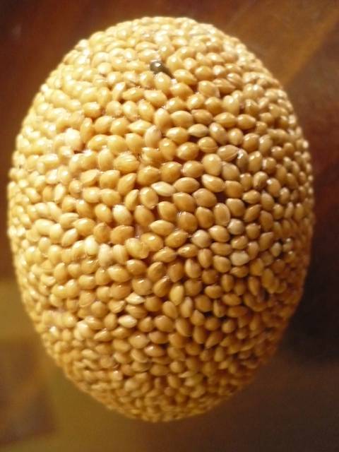 kraslica olepovaná semienkami