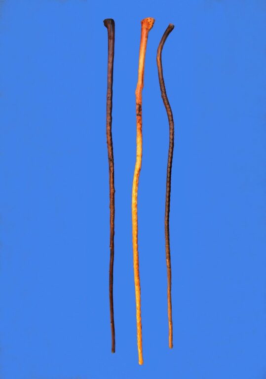 palica vyrezávaná osekanec
