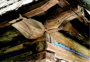 Malá Franková, nárožie drevenice. Zachovaná typická modrá farebnosť škár (vápenný náter na machovej
výplni medzier medzi trámami). Drevenica je v stave pred úplnou deštrukciou.