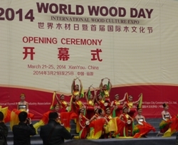 Svetový deň dreva v Číne
