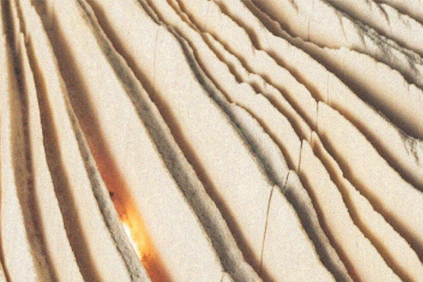 DREVO / TVAR / DIZAJN