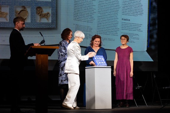 Potential worth developing