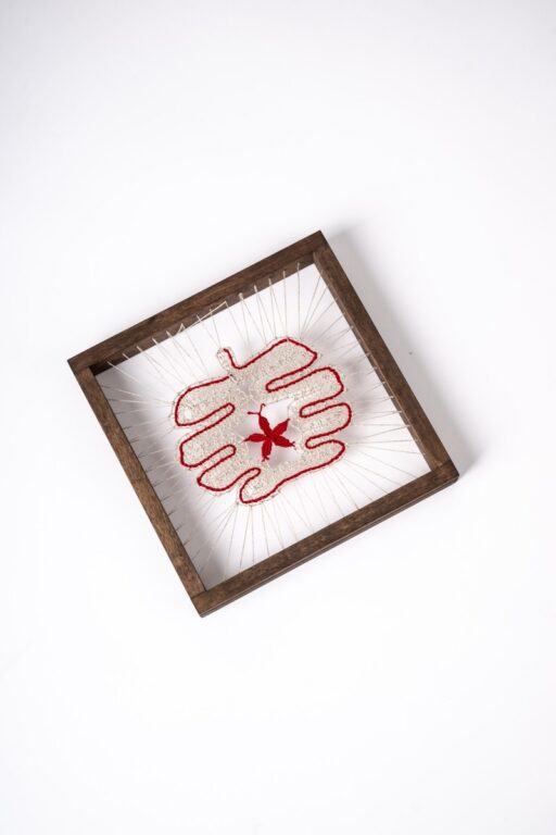 Obrázok paličkovaný v ráme – jablko červené