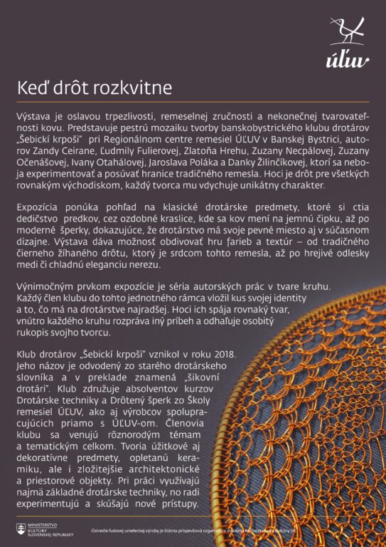 Zobraziť fotografiu Keď drôt rozkvitne