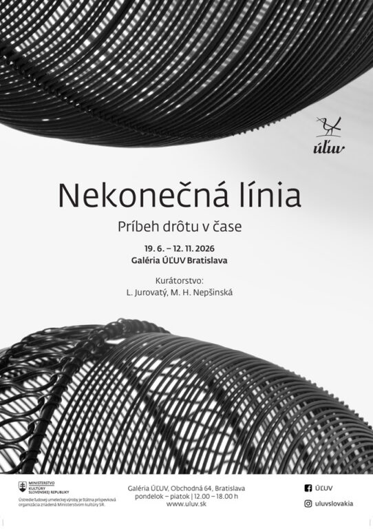 Zobraziť fotografiu Vizuál výstavy „Nekonečná línia. Príbeh drôtu v čase“